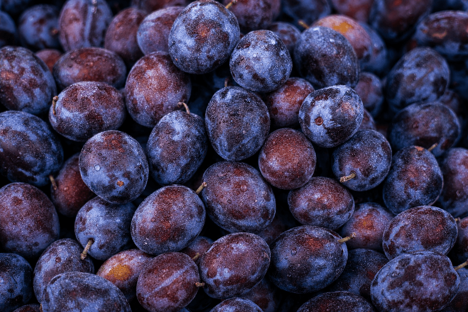 Prune proaspete